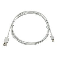 Compulocks 6 feet long 10 pins (lightning) iPad charging cable - USB cable