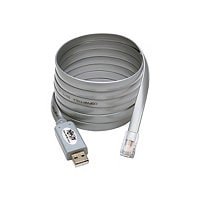 Tripp Lite USB to RJ45 Cisco Serial Rollover Cable, USB Type-A to RJ45 M/M, 6 ft - adaptateur série - USB