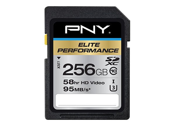 PNY 256GB SDXC CLASS 10 UHS 1 CARD