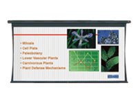 Da-Lite Tensioned Large Cosmopolitan Electrol Video Format w\ Low Voltage Control System - projection screen - 200" (200