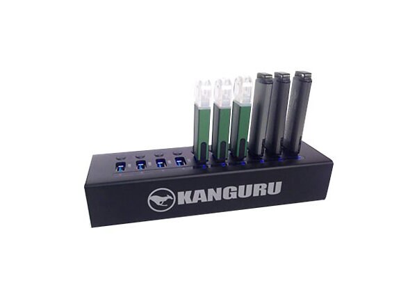 Kanguru - hub - 10 ports