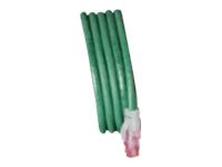 Allen Tel patch cable - 25 ft - green
