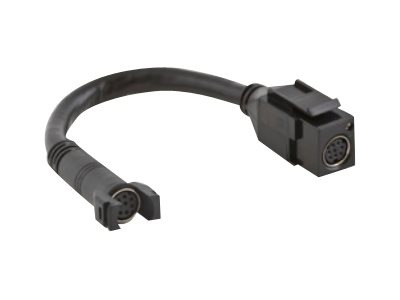 Hubbell X-End Tail - video cable - 4 in