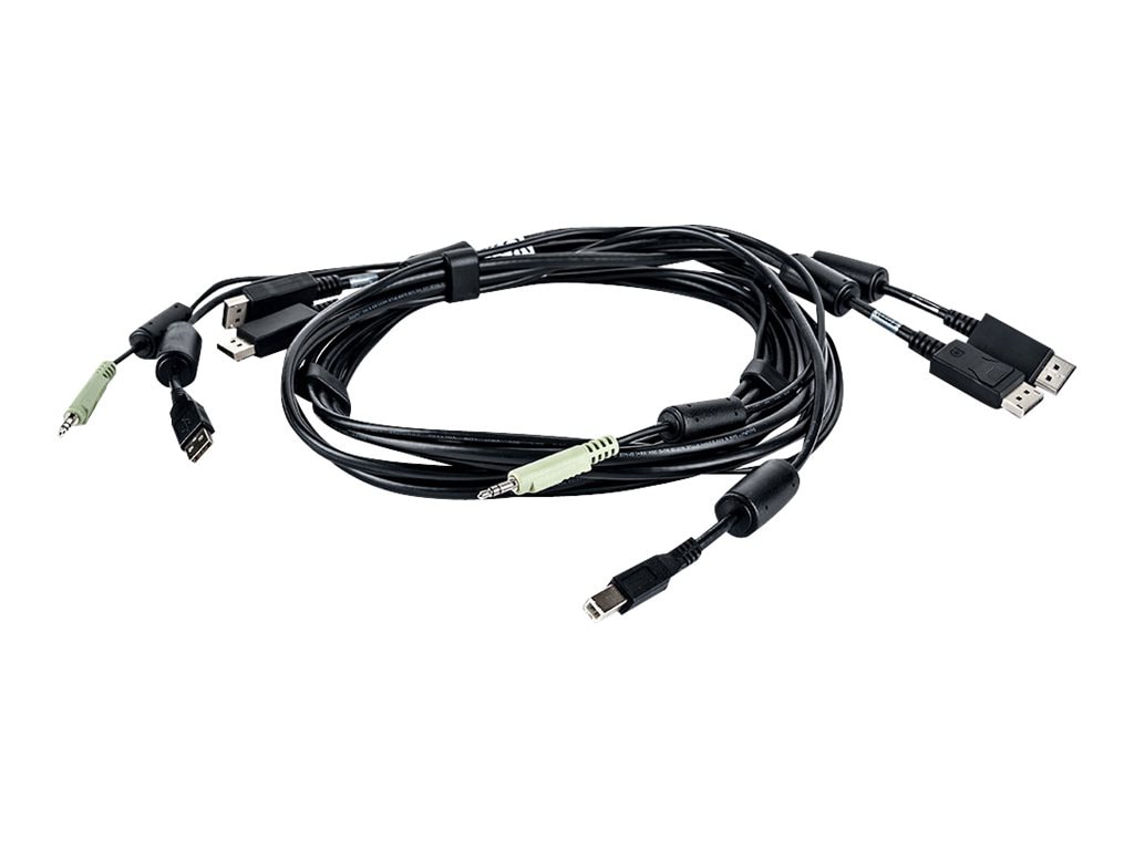 ATEN - Câble clavier / vidéo / souris (KVM) - USB, PS/2 (M) pour USB (F) -  80 cm (CV10KM), Câbles KVM