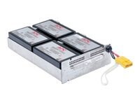 APC Replacement Battery Cartridge #24J - UPS battery - lead acid
