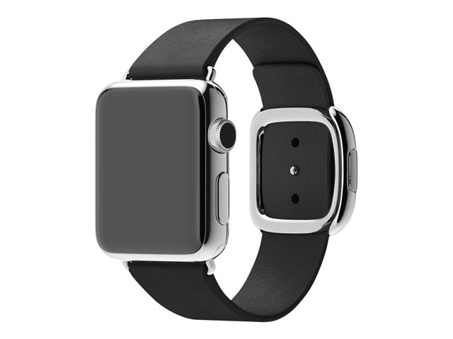 Apple 38mm Modern Buckle - Large - watch strap