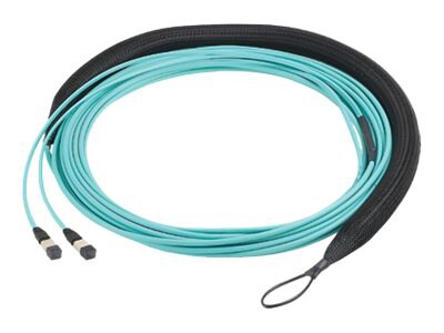 Panduit QuickNet Trunk Cable Assembly - trunk cable - 61 m