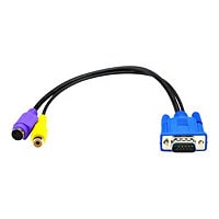 Black Box VGA to Composite and S-Video Adapter Cable - video cable - VGA /