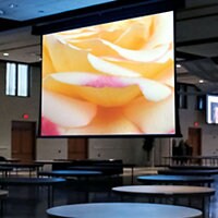 Draper Paragon/Series V 16:10 Format - projection screen - 335" (335 in)