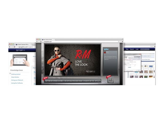 Signagelive Standard - subscription license (3 years) - 1 player