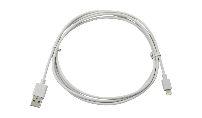 Compulocks Apple Lightning Charging Cable 6 Feet Long - USB cable - USB to