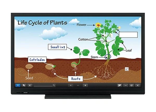 Sharp PN-C703B Aquos Board - 70" Class (69.5" viewable) LED display