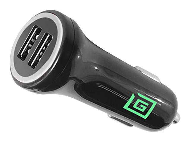 RAM GDS car power adapter - 2 x USB - 24 Watt
