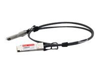 Proline 10GBase-CX direct attach cable - TAA Compliant - 10 ft