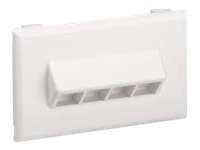 Panduit NetKey Snap-On - faceplate