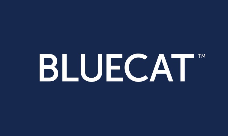 BlueCat rack mounting kit