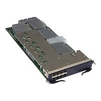 Brocade 8x10 GbE-M - expansion module - 8 ports