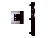Panduit IN-Cabinet Vertical Cable Managers - rack cable management kit (vertical) - 40U