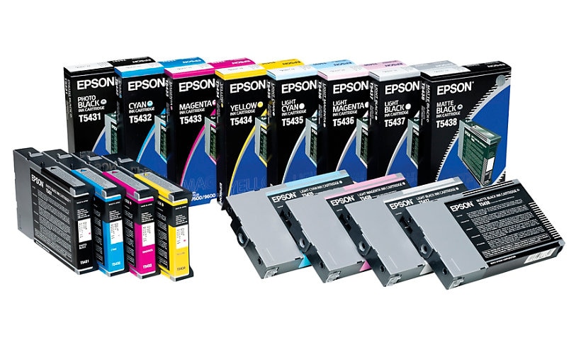 Epson UltraChrome Light Cyan Ink Cartridge