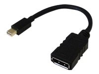 Link 7.1" Mini DisplayPort (M) to DisplayPort (F) Video Adapter