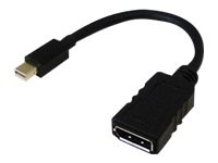 Total Micro Link adapter - DisplayPort / HDMI - 10 in - DP-H-TM