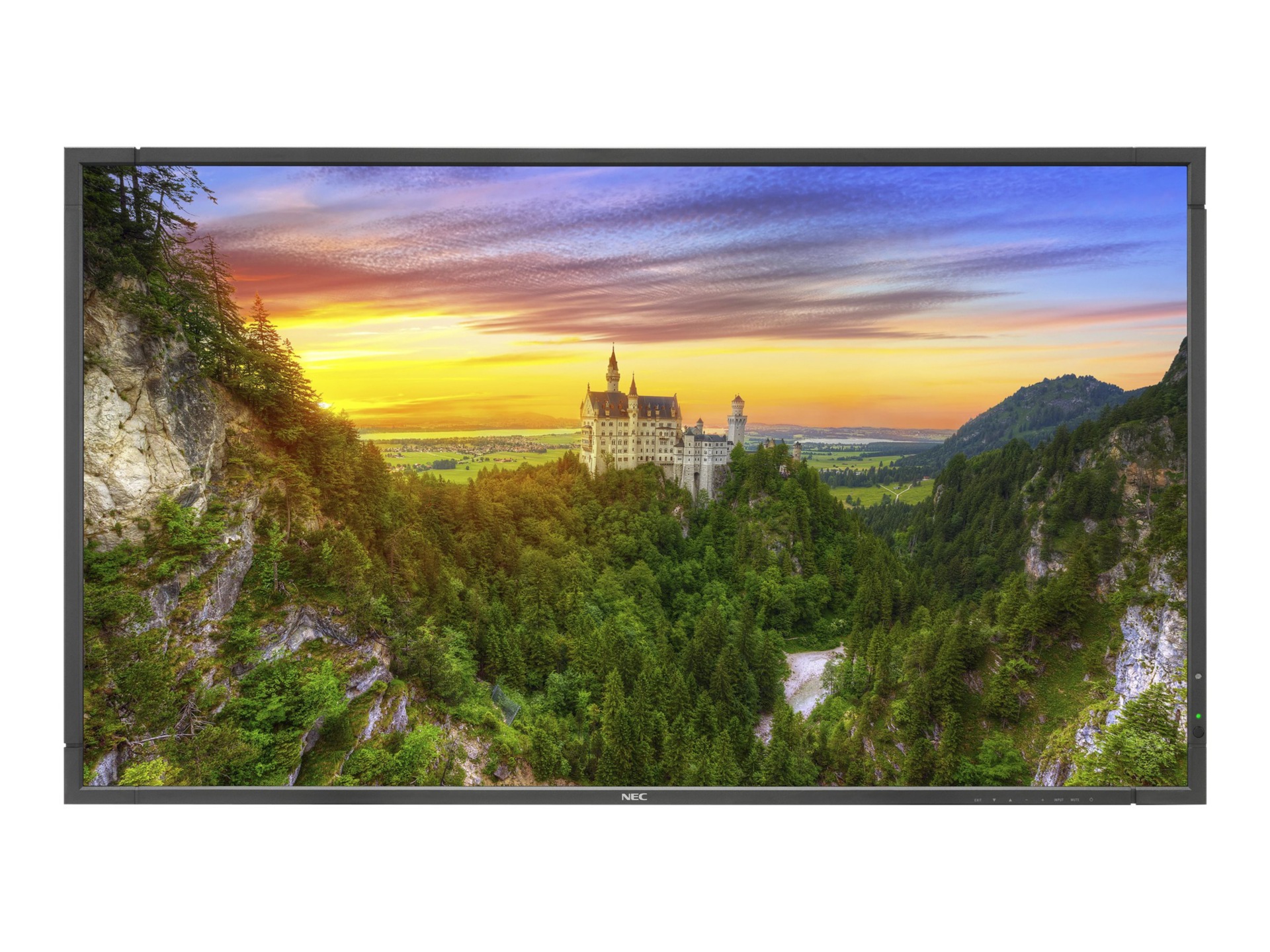 NEC MultiSync X981UHD-2 X Series - 98" LED display