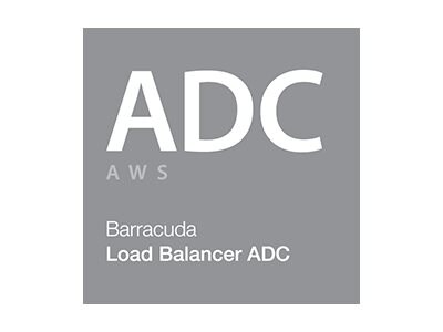 Barracuda Load Balancer for Amazon Web Services level 3 - subscription license (1 year)