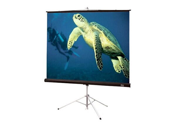 Draper Diplomat Portable Wide Format - projection screen with tripod - 94 in (239 cm)