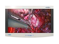 NDS Radiance Ultra 27" Color LED Display Primary Board