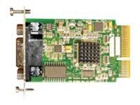 NDS VGA/component/RGBS/SOG input module