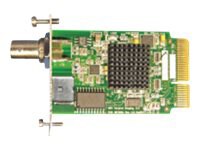 NDS S-Video/composite video input module