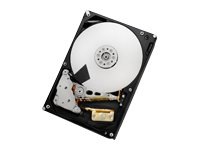 HGST Ultrastar 7K6000 HUS726020ALE610 - hard drive - 2 TB - SATA 6Gb/s