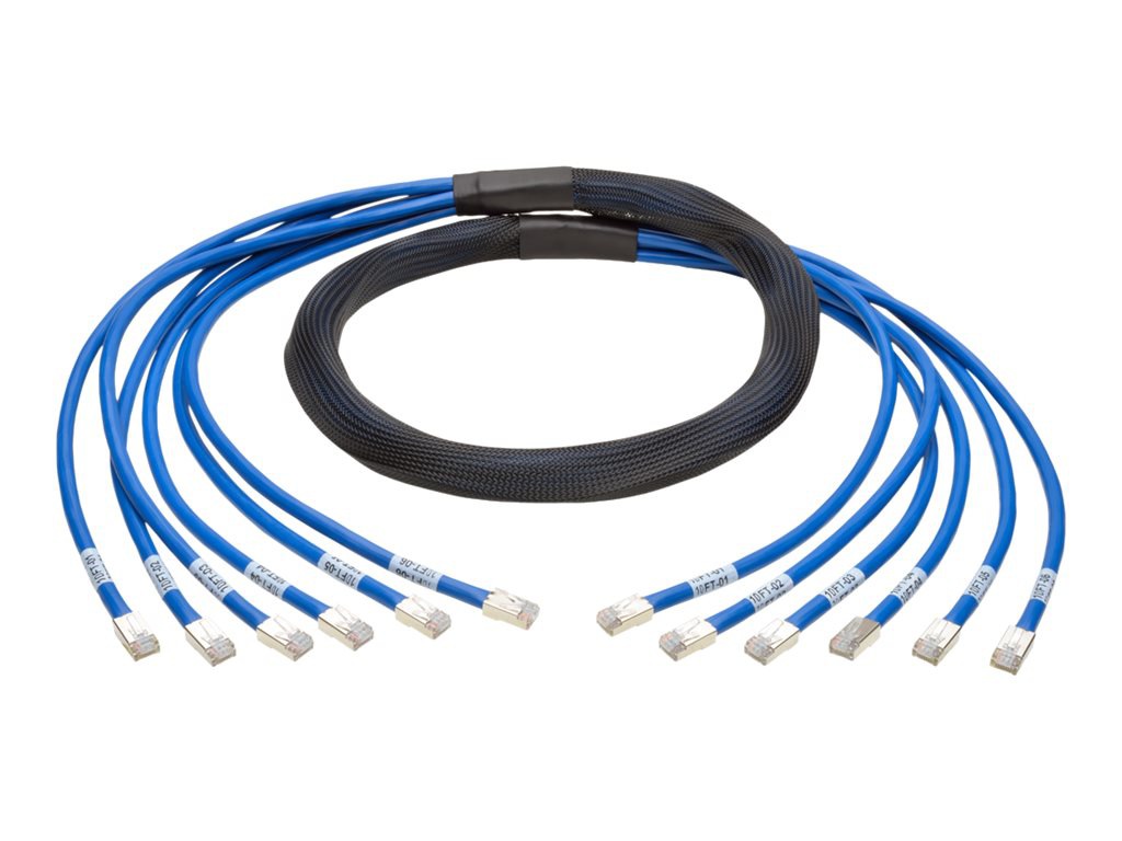Tripp Lite 10ft Augmented Cat6 Cat6a Pre-Terminated Copper Trunk Bundle 6xRJ45 M/M 10' - network cable - 10 ft - blue