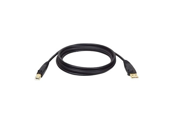 klynke I tide koste Tripp Lite 6ft USB Cable Hi-Speed Gold Shielded USB 2.0 A/B Male / Male 6'  - USB cable - USB to USB Type B - 6 ft - U022-006 - USB Cables - CDW.com