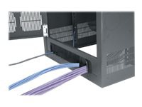 Middle Atlantic BGR Series BGR-RDC25 rack door - 25U