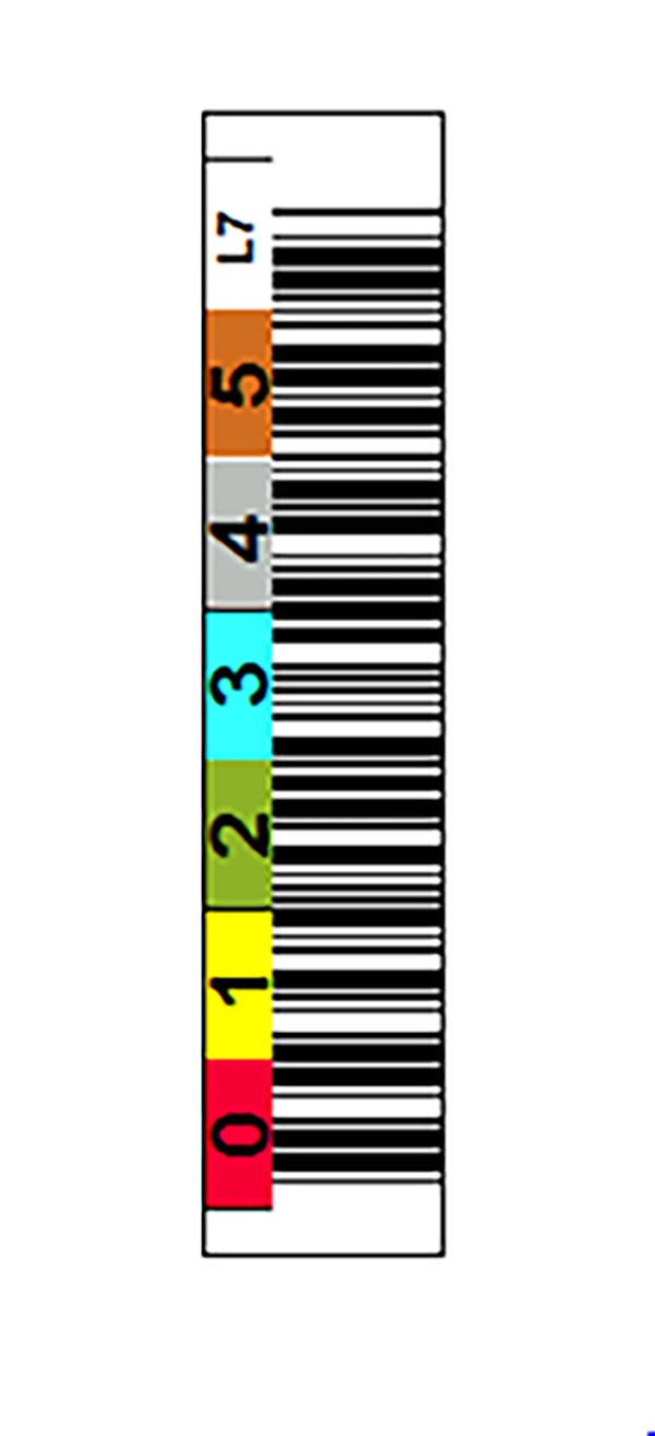 EDP Tri-Optic To Go LTO Ultrium Generation 7 In House Horizontal Label