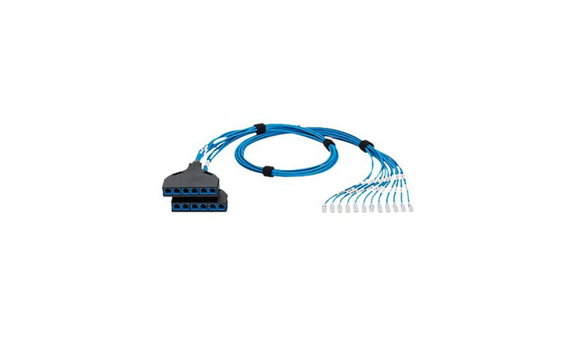 Panduit QuickNet SD Switch Port Harness Plug-To-Cassette - network cable -
