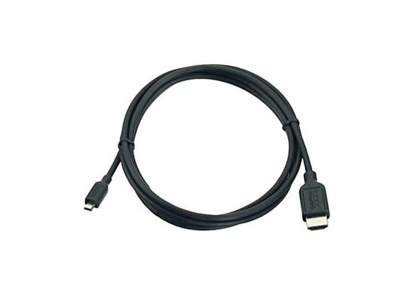 GoPro HDMI cable