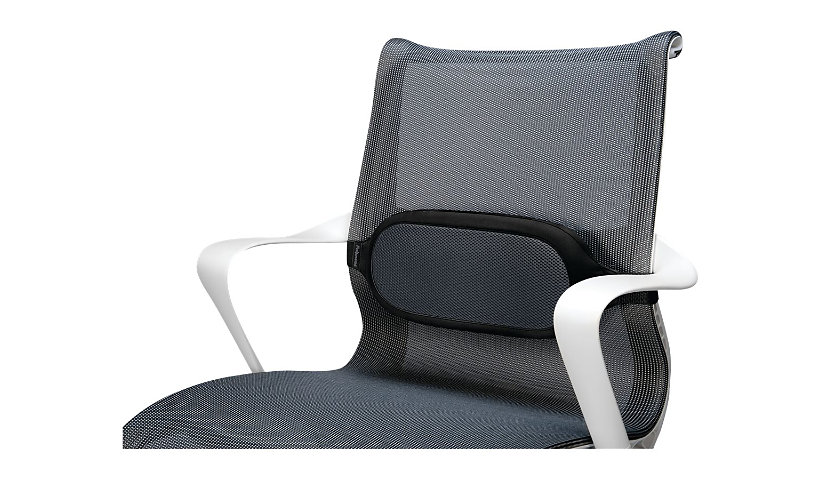 Fellowes I-Spire Lumbar Cushion - back support - black/gray