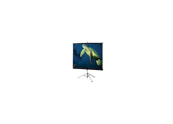 Draper Diplomat/R projection screen with tripod - 84 in ( 213 cm )