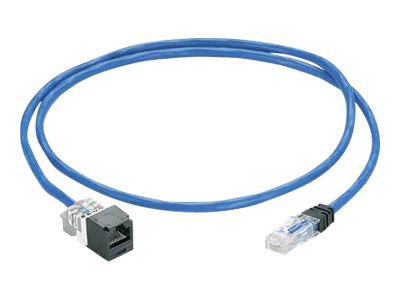 Panduit PanZone Cable Assemblies - network extension cable - 30 ft - blue