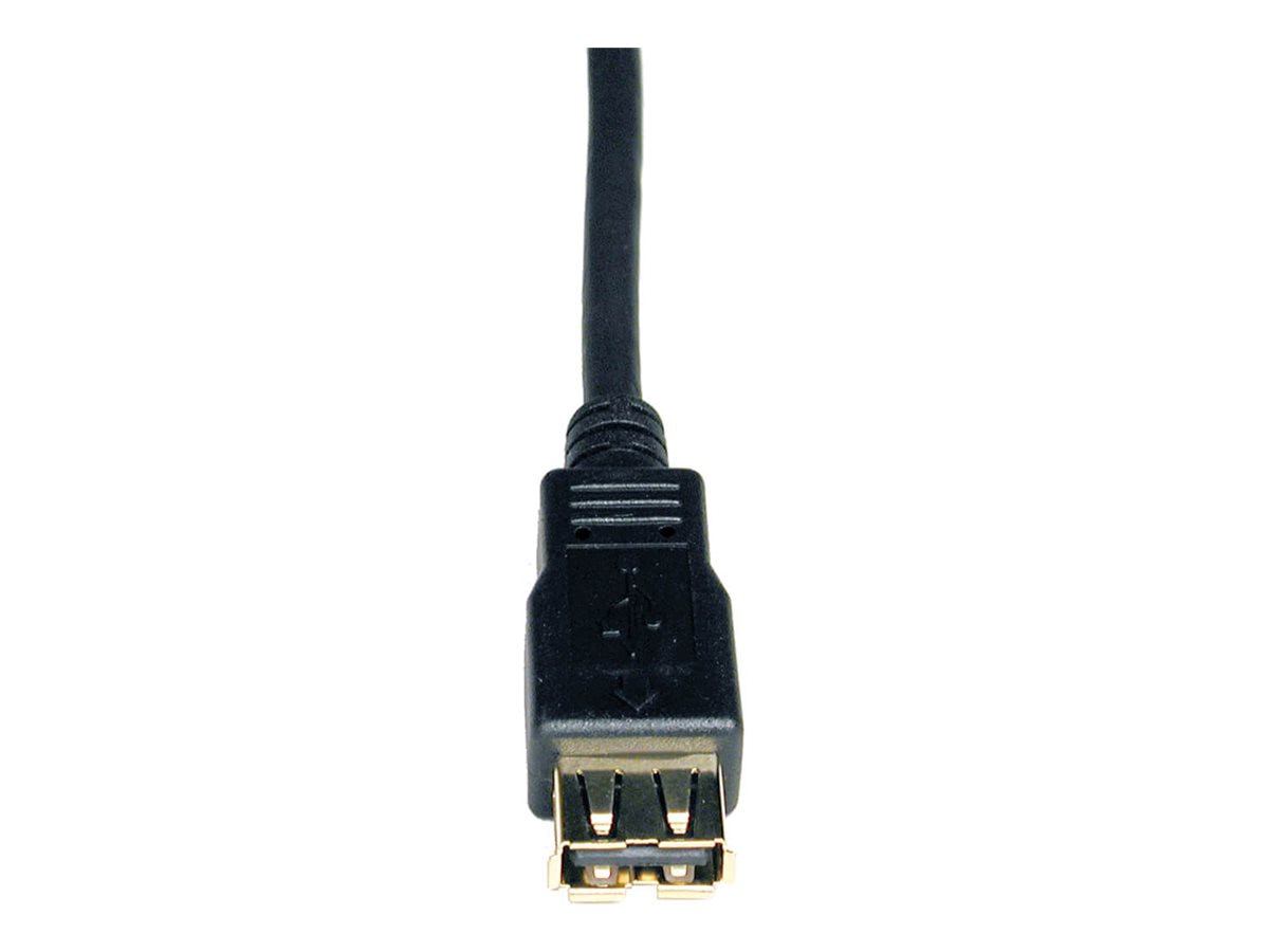 Thumbnail 3 of 3 for Eaton Tripp Lite Series 6ft USB 2.0 Hi-Speed Extension Cable Shielded A Male / Female 6' - USB extension cable - USB to