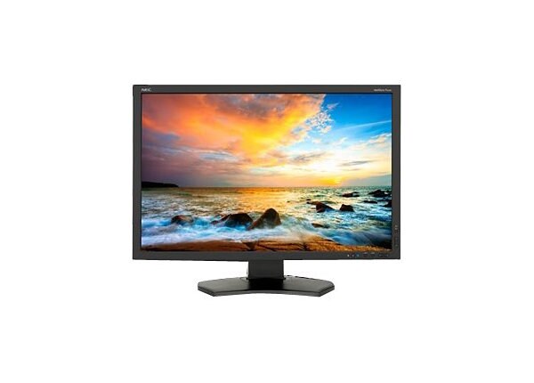 TouchSystems P242W-TS - LED monitor - 24"