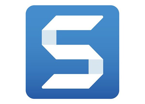 SnagIt (v. 13/4) - license