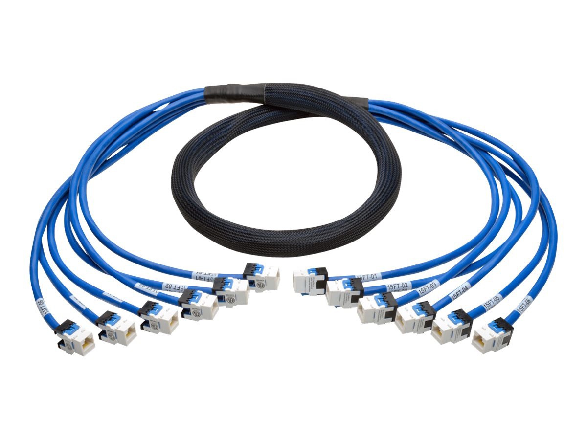 Tripp Lite Augmented Cat6/Cat6a Pre-Terminated Copper Trunk Bundle 6xRJ45 F/F 6' - network cable - 6 ft - blue