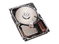 Seagate Cheetah 10K.6 36.7GB Hard Drive