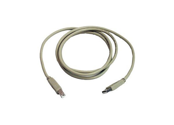 ZEBRA 6FT A TO B INTERFACE USB CABLE