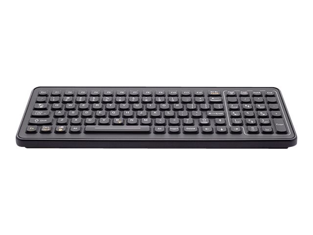 iKey SlimKey SLK-101-M - keyboard