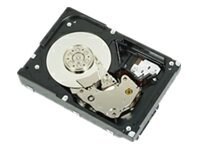 Dell - hard drive - 1 TB - SAS