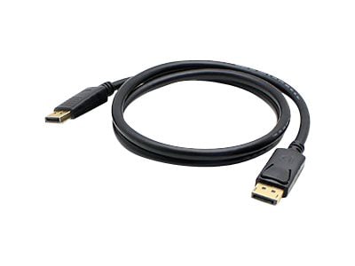 Proline DisplayPort cable - 1 ft